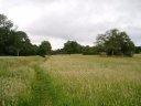 London Loop Path nr Elstree