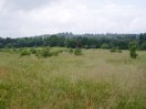 View towards Moor Park