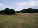 Grassland nr South Oxhey