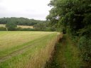 Loop path nr Hendon Wood Lane