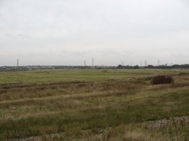 Rainham Marshes