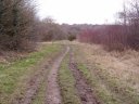 Banstead Downs