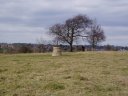 Farthing Downs