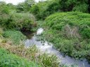 Hogsmill River