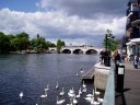 Kingston Bridge