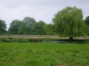 Bushey Park