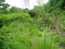 Path nr Batchworth Heath