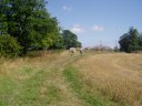 Fields nr Chigwell