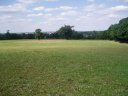 Fields, Havering atte Bower