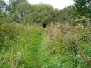 Loop path nr Upminster