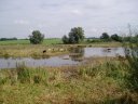 Havering Country Park