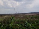 Rainham Marshes