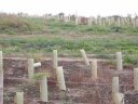 Reclaimed land nr Rainham Marshes