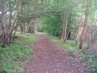 La Valley Walk nr Harpenden