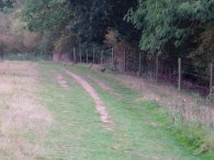 Lea Valley Path Nr Waterend