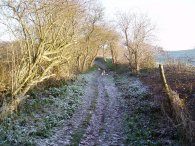 Lea Valley Walk Path