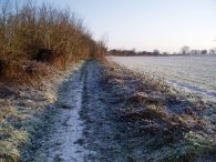 Lea Valley Walk Path