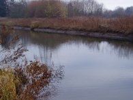 River Lea, nr Cheshunt