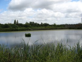 Waterworks Nature Reserve