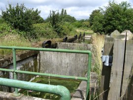 Waterworks Nature Reserve