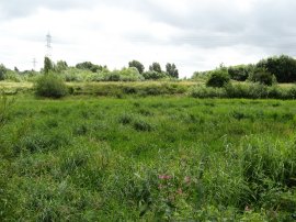 Waterworks Nature Reserve