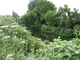 River Lea, Leyton