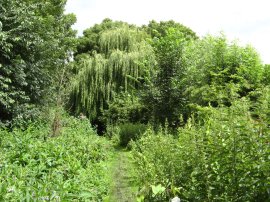 Path besides the River Lea
