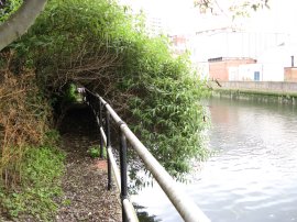 Path besides the Waterworks River