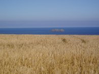 Fields nr Crugmeer