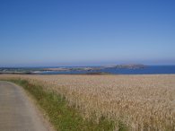 Trevose Head