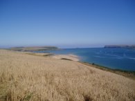 Camel Estuary