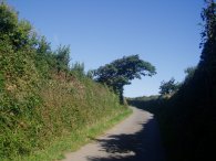 Quiet lane nr Padstow