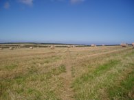 Fields nr Crugmeer