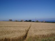 Fields nr Crugmeer