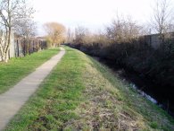 Salmon's Brook, Edmonton