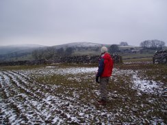 Fields Nr Hartington