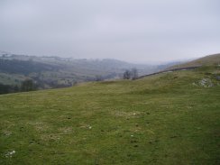 Fields Nr Hartington