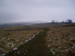 Fields Nr Hartington