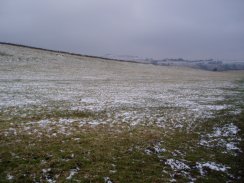 Fields Nr Hartington