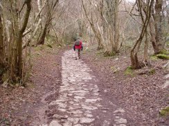 Track towards Wetton