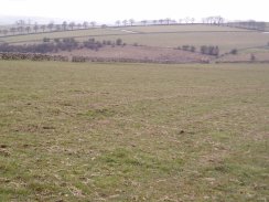 View towards Long Dale