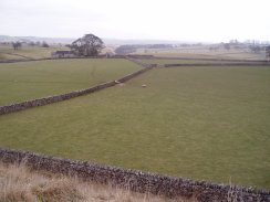 Looking West towards Lees Barn