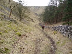 Path towards Coldeaton Bridge