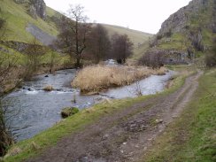 Dovedale nr Biggin Dale