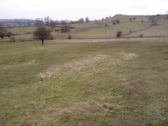 Fields nr Hartington