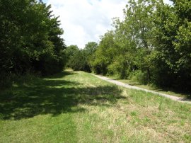 Royal Military Canal nr West Hythe