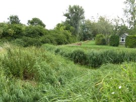 Path nr Newchurch