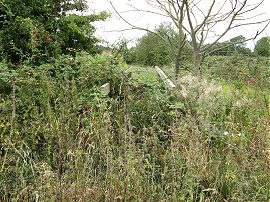 A very overgrown footbridge