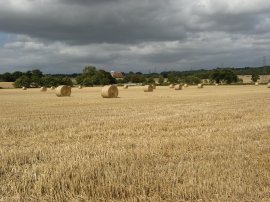 Approaching St Rumwold's Church