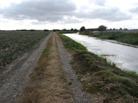 Royal Military Canal, nr Ruckinge